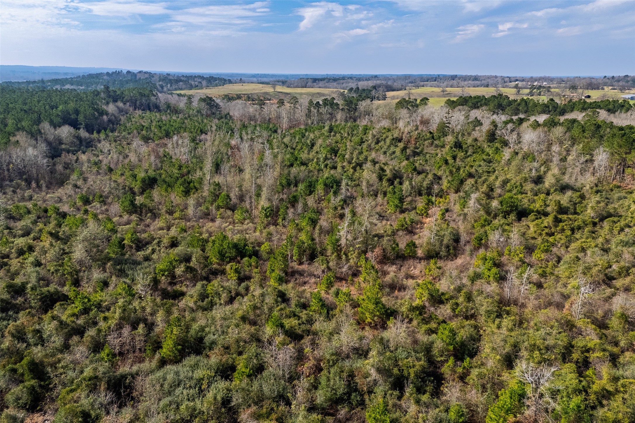 000 County Road 1245 Center TX 75935