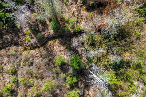 000 County Road 1245 Center TX 75935