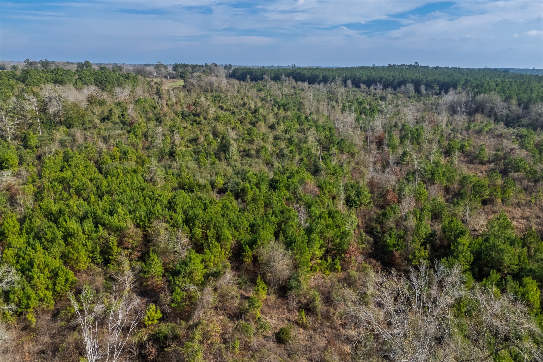 000 County Road 1245 Center TX 75935