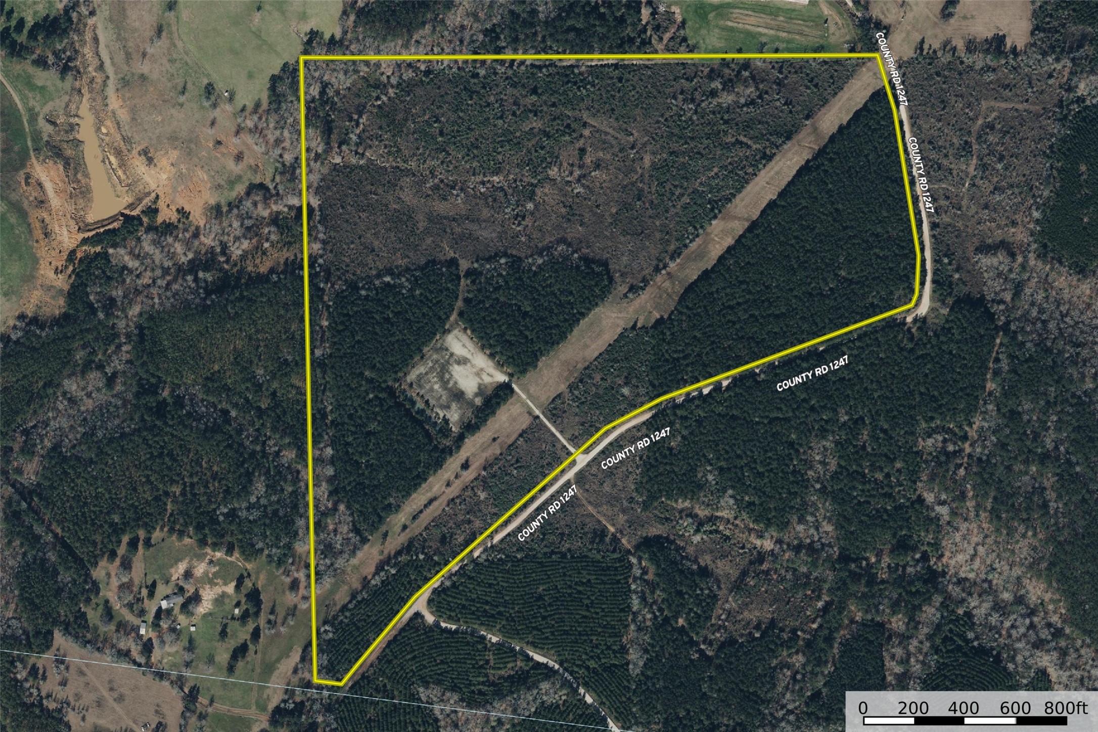000 County Road 1245 Center TX 75935
