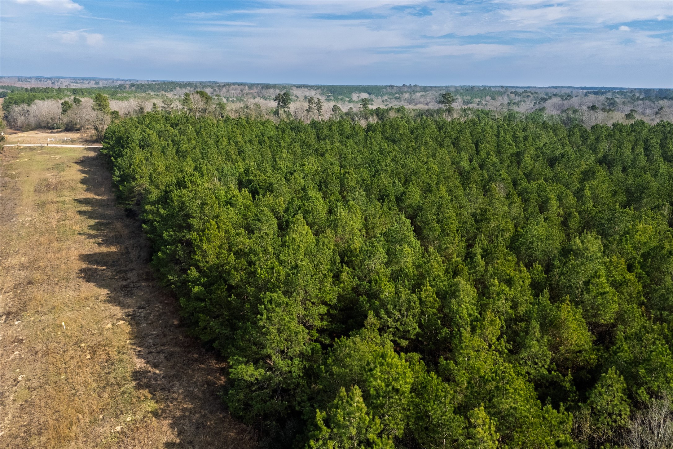 000 County Road 1245 Center TX 75935
