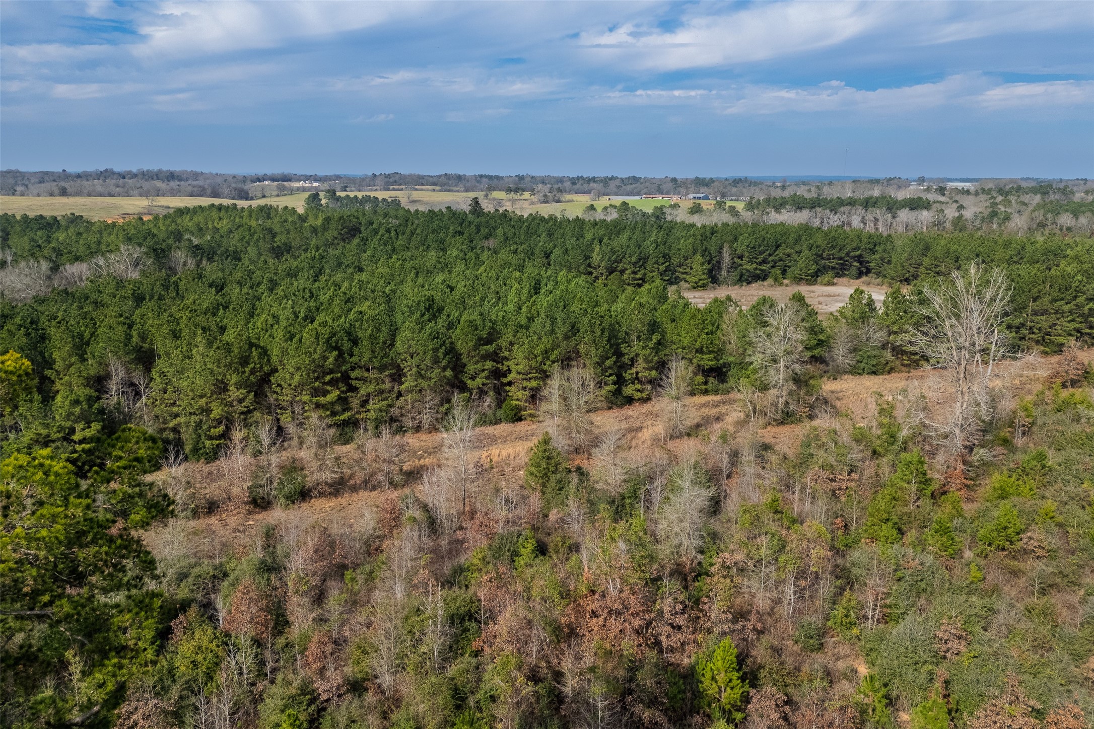 000 County Road 1245 Center TX 75935
