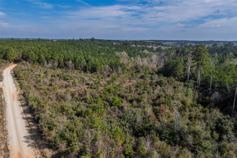 000 County Road 1245 Center TX 75935