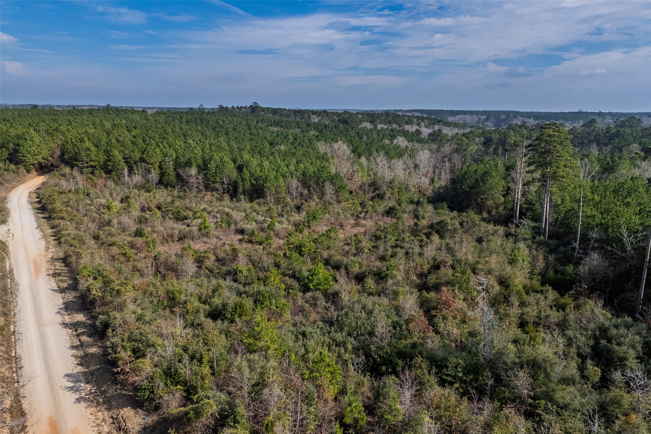 000 County Road 1245 Center TX 75935