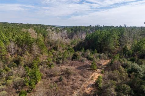 000 County Road 1245 Center TX 75935