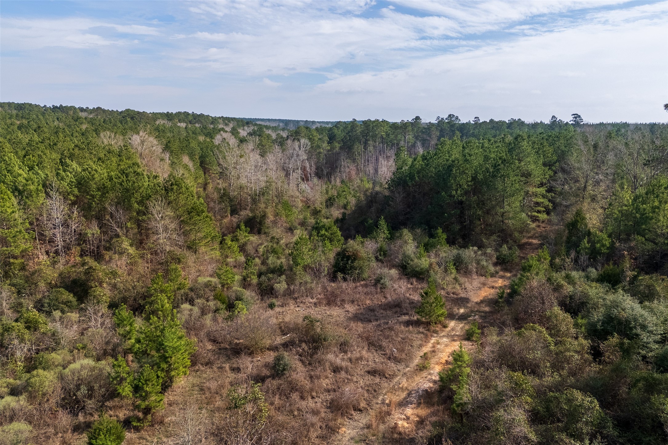 000 County Road 1245 Center TX 75935