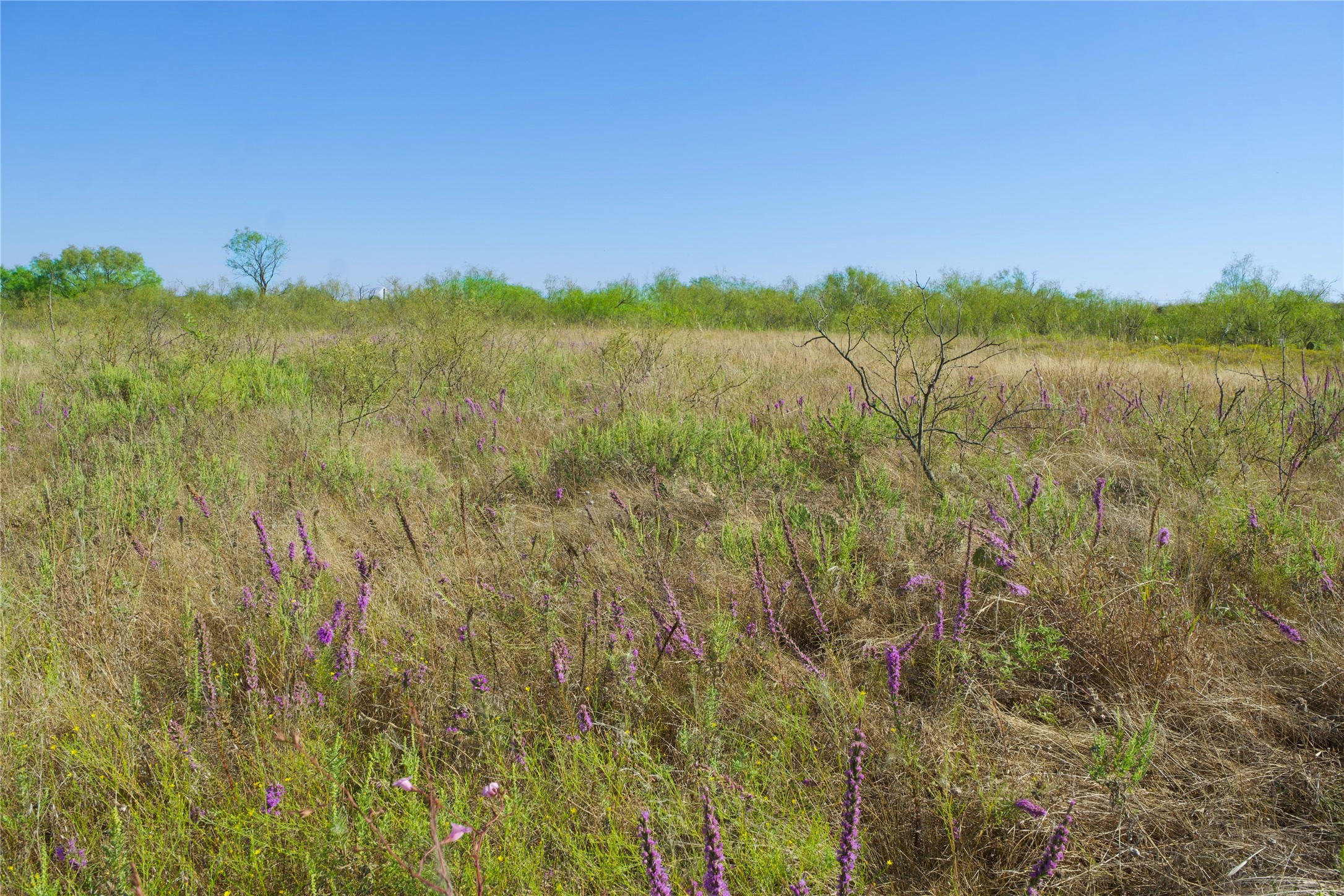 Tbd Highway 81 Ringgold TX 76261