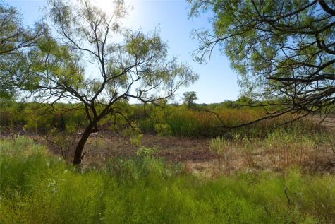 TBD Highway 81 Ringgold TX 76261