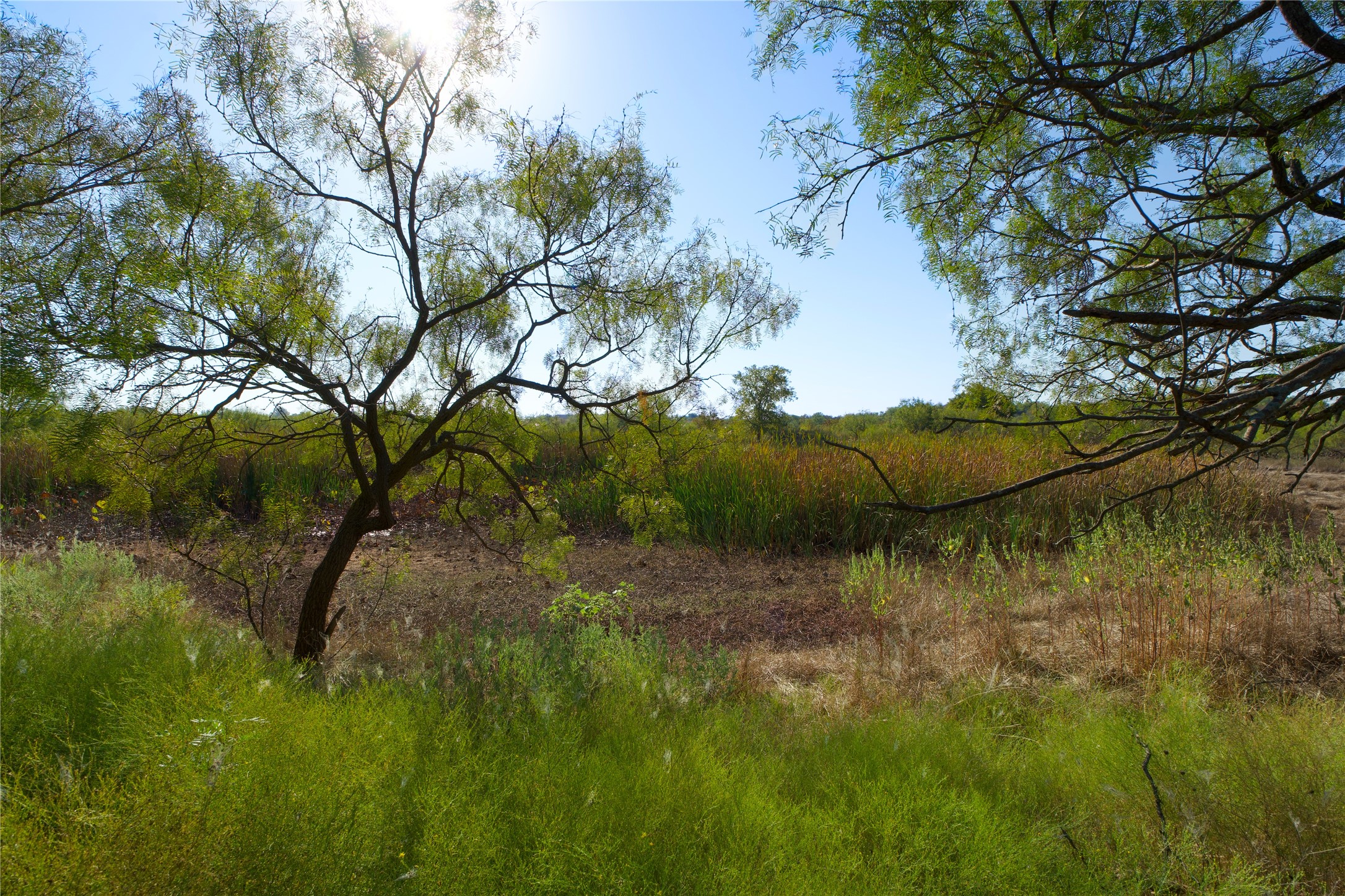 Tbd Highway 81 Ringgold TX 76261