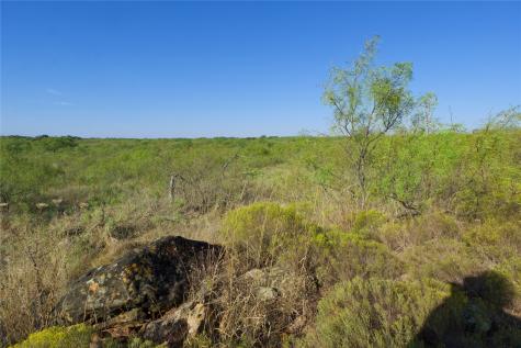 Tbd Highway 81 Ringgold TX 76261
