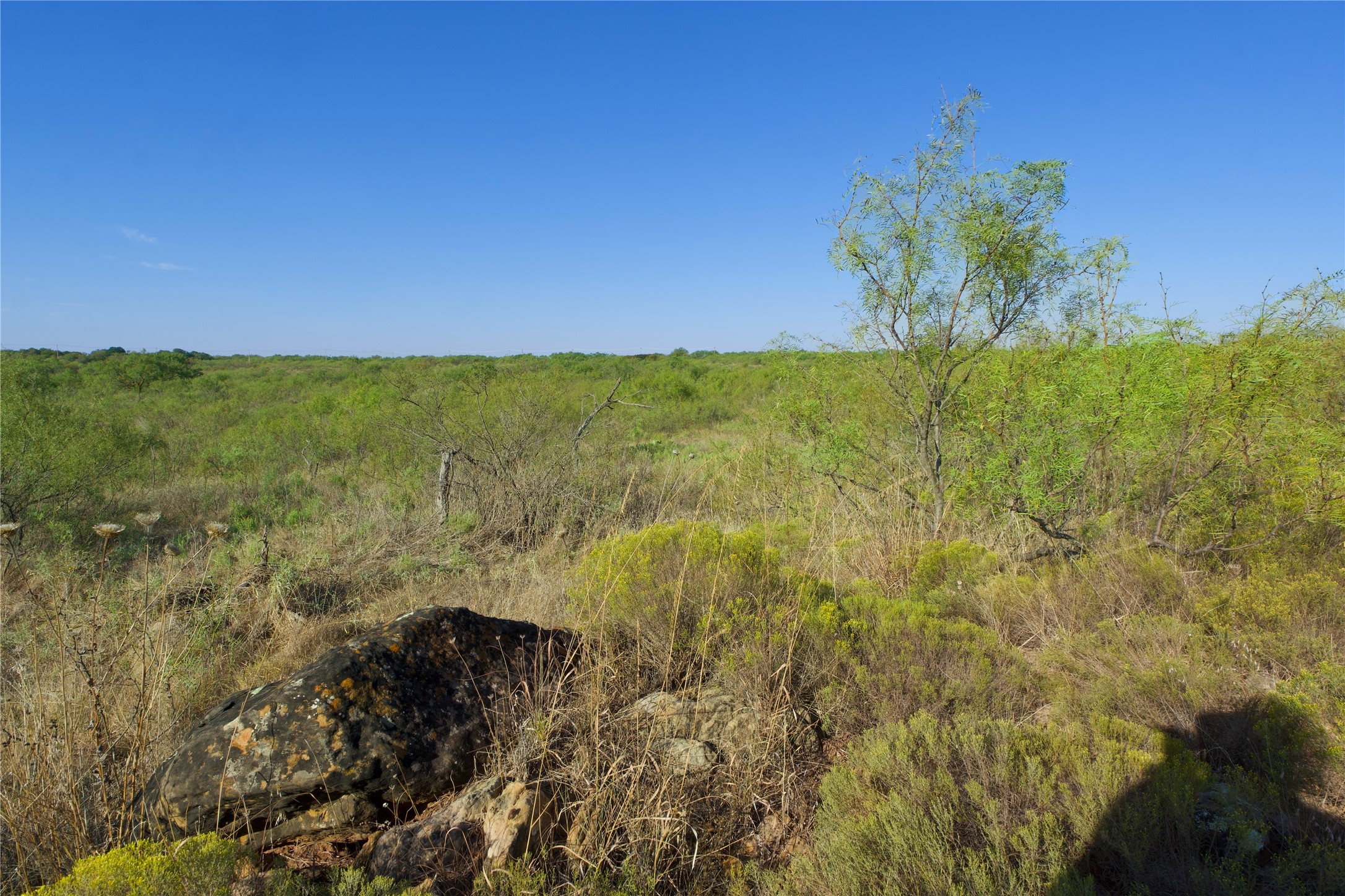 Tbd Highway 81 Ringgold TX 76261
