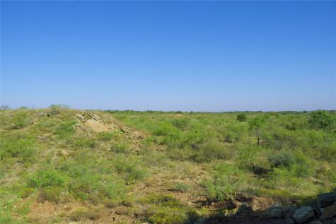 Tbd Highway 81 Ringgold TX 76261