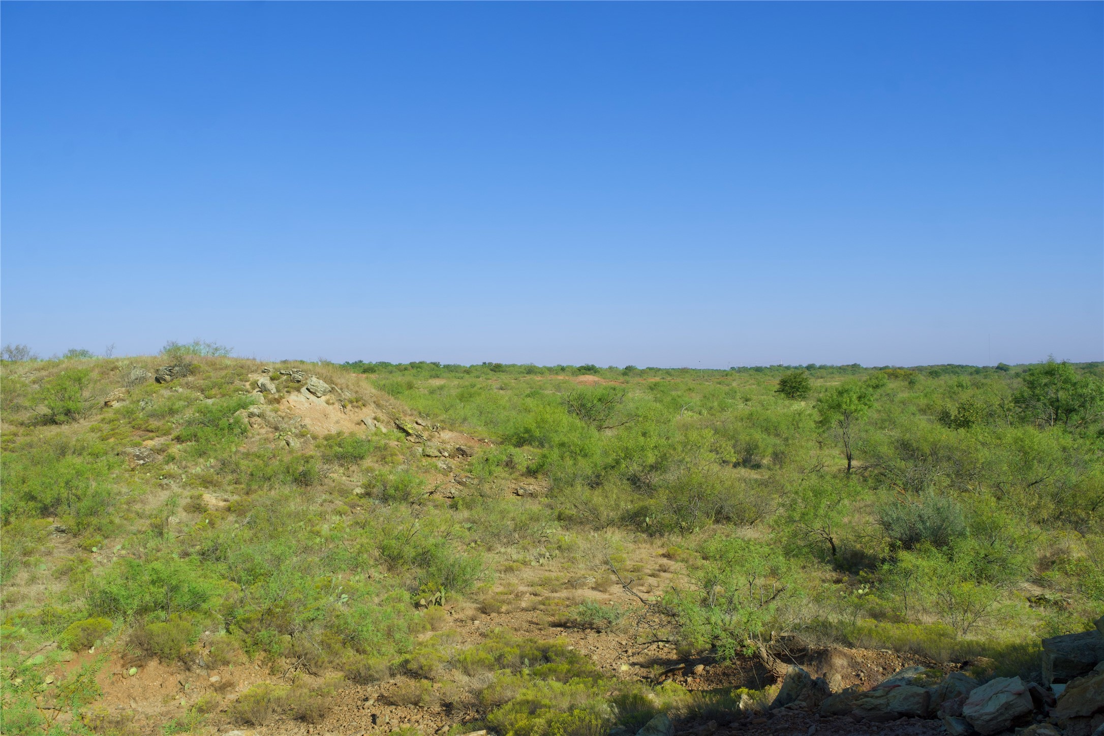 Tbd Highway 81 Ringgold TX 76261