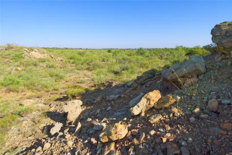 Tbd Highway 81 Ringgold TX 76261
