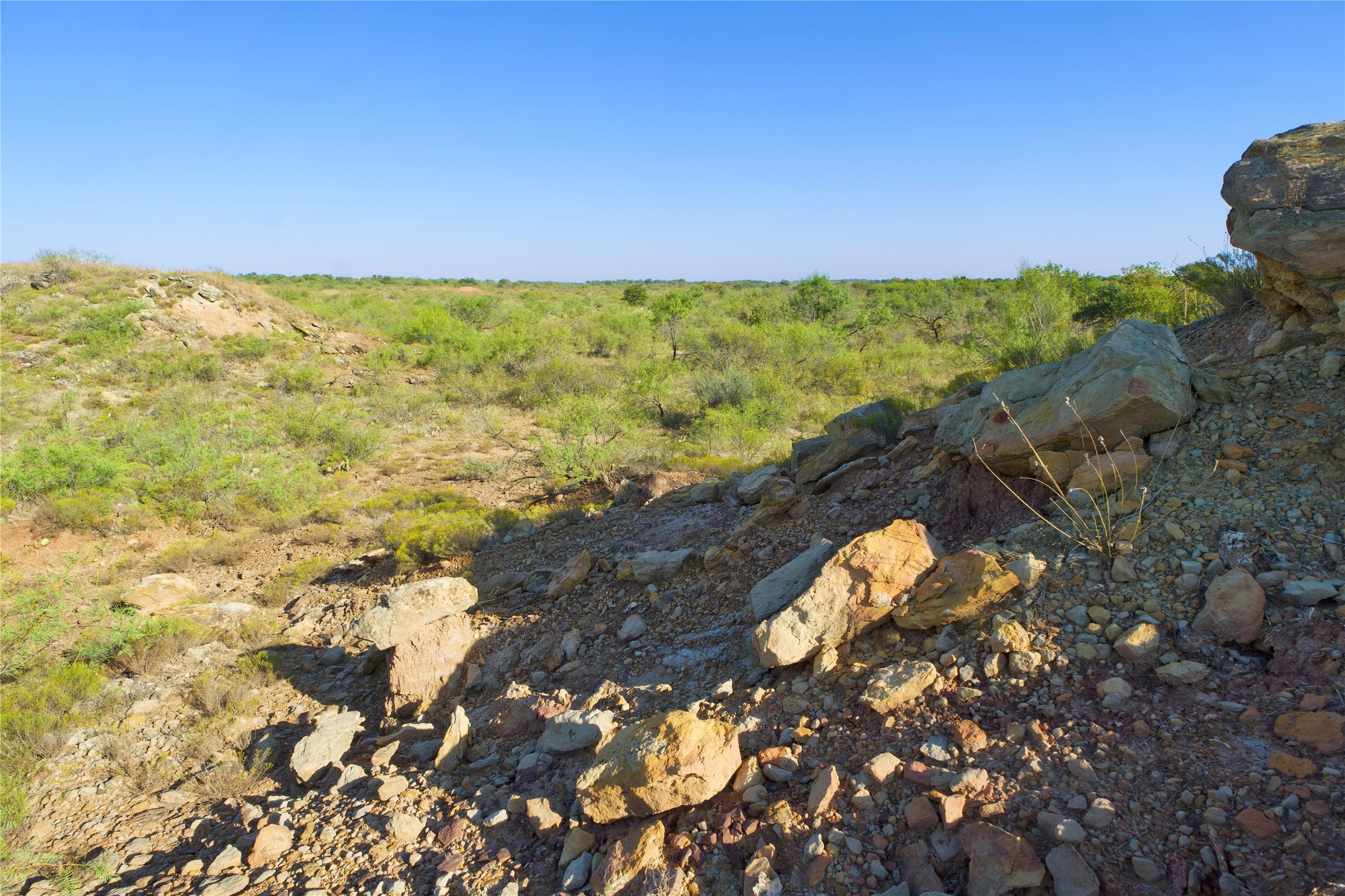 Tbd Highway 81 Ringgold TX 76261