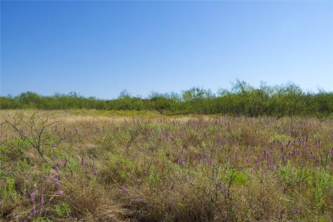 Tbd Highway 81 Ringgold TX 76261