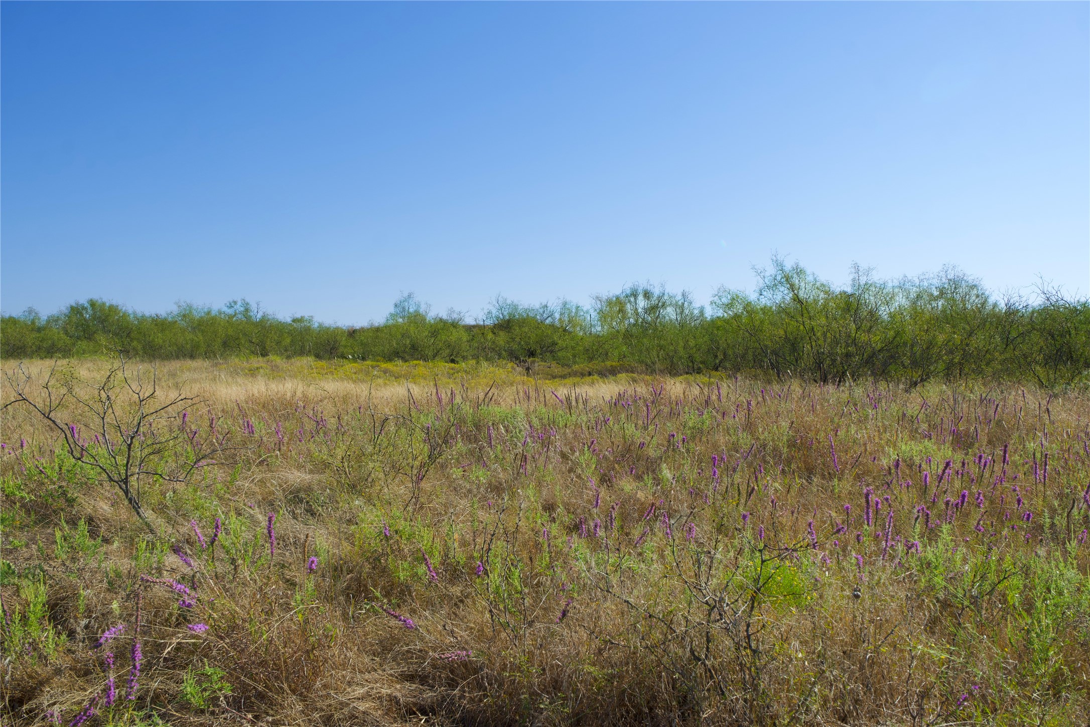 Tbd Highway 81 Ringgold TX 76261