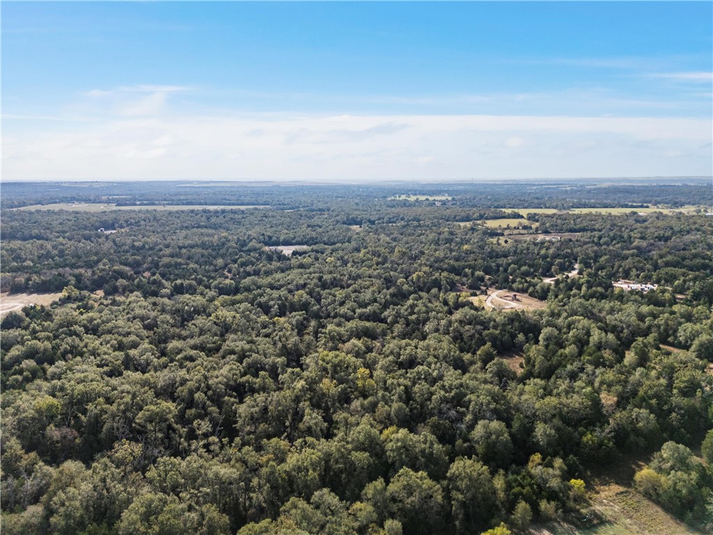 Tbd W Fm 489 Teague TX 75860