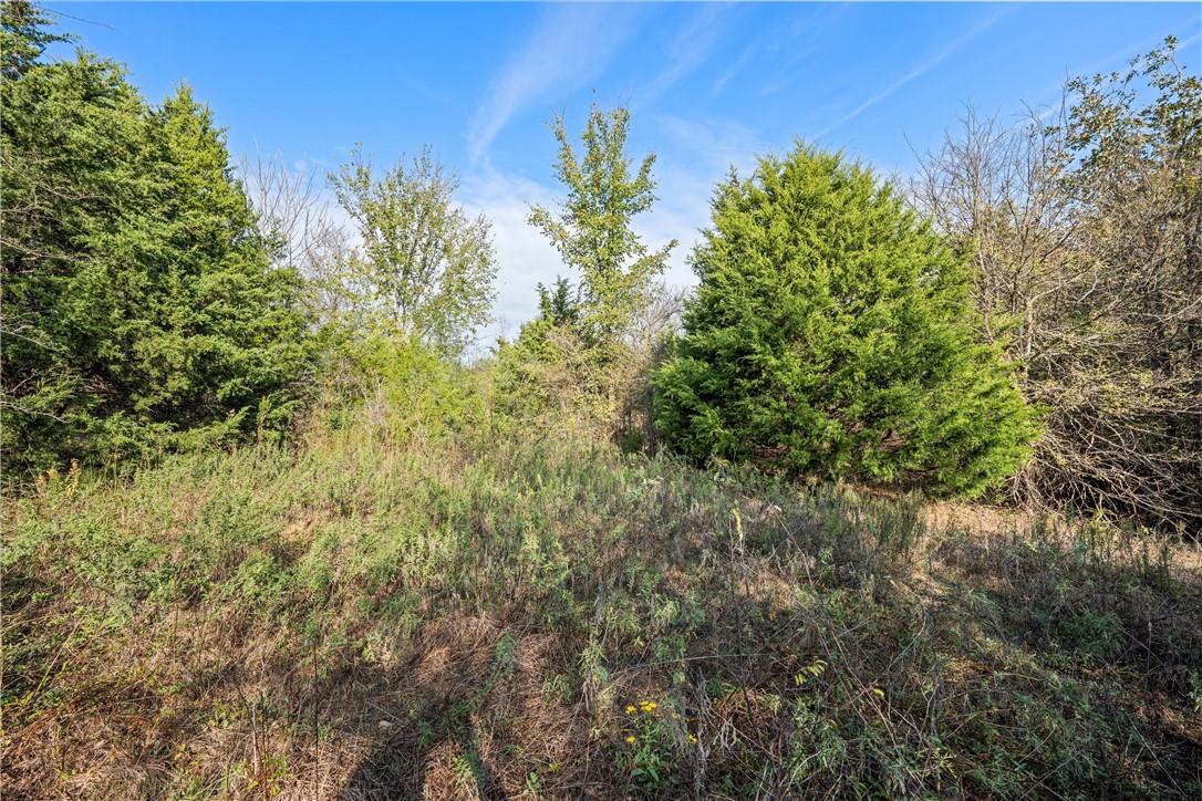 Tbd W Fm 489 Teague TX 75860