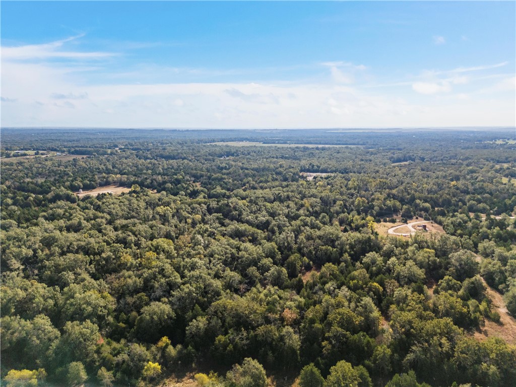 Tbd W Fm 489 Teague TX 75860