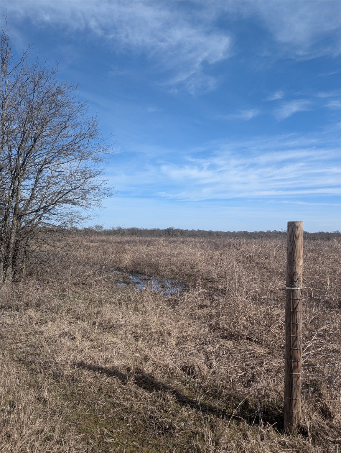 Tbd County Road 3520 Honey Grove TX 75446