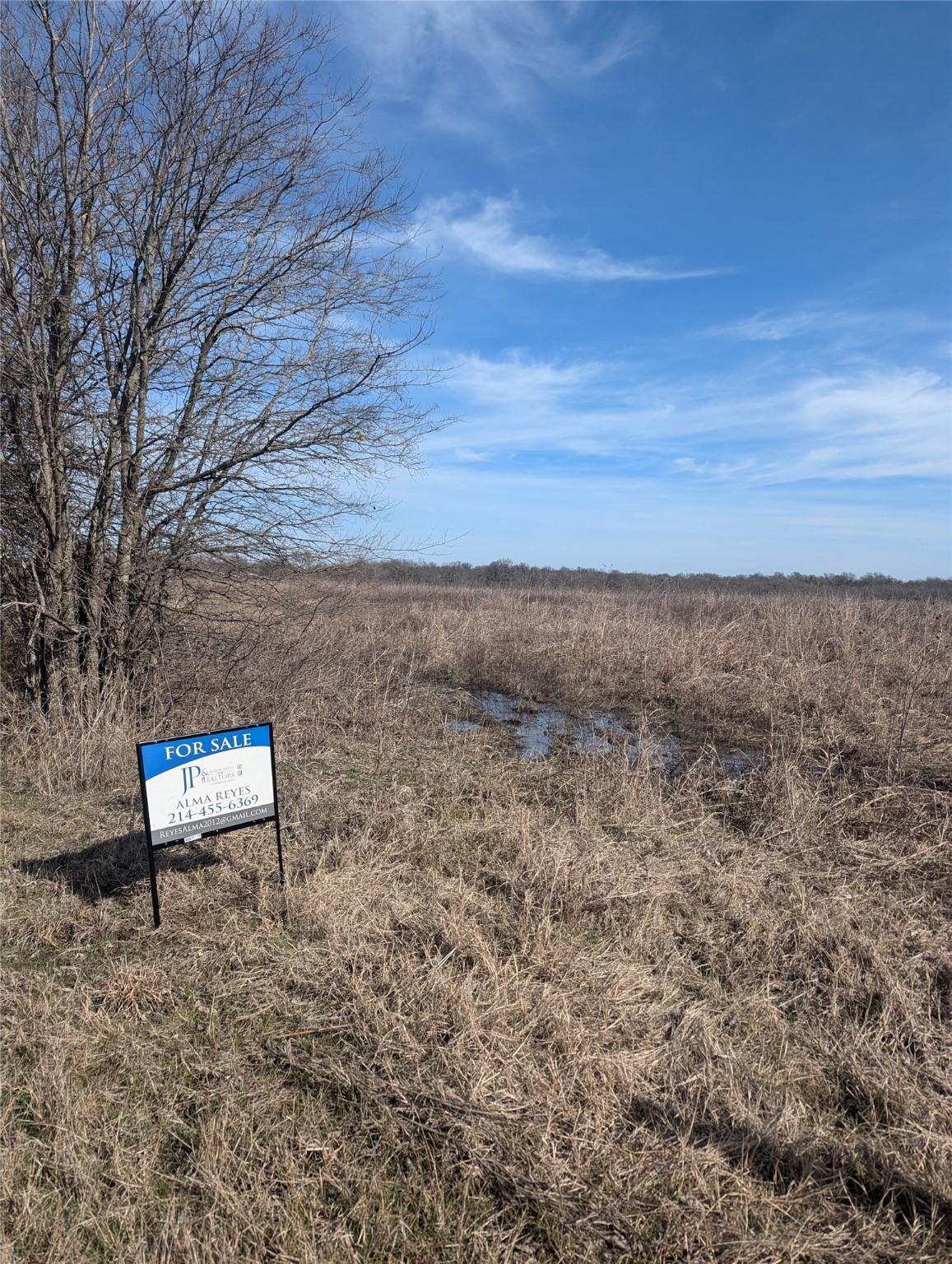 Tbd County Road 3520 Honey Grove TX 75446