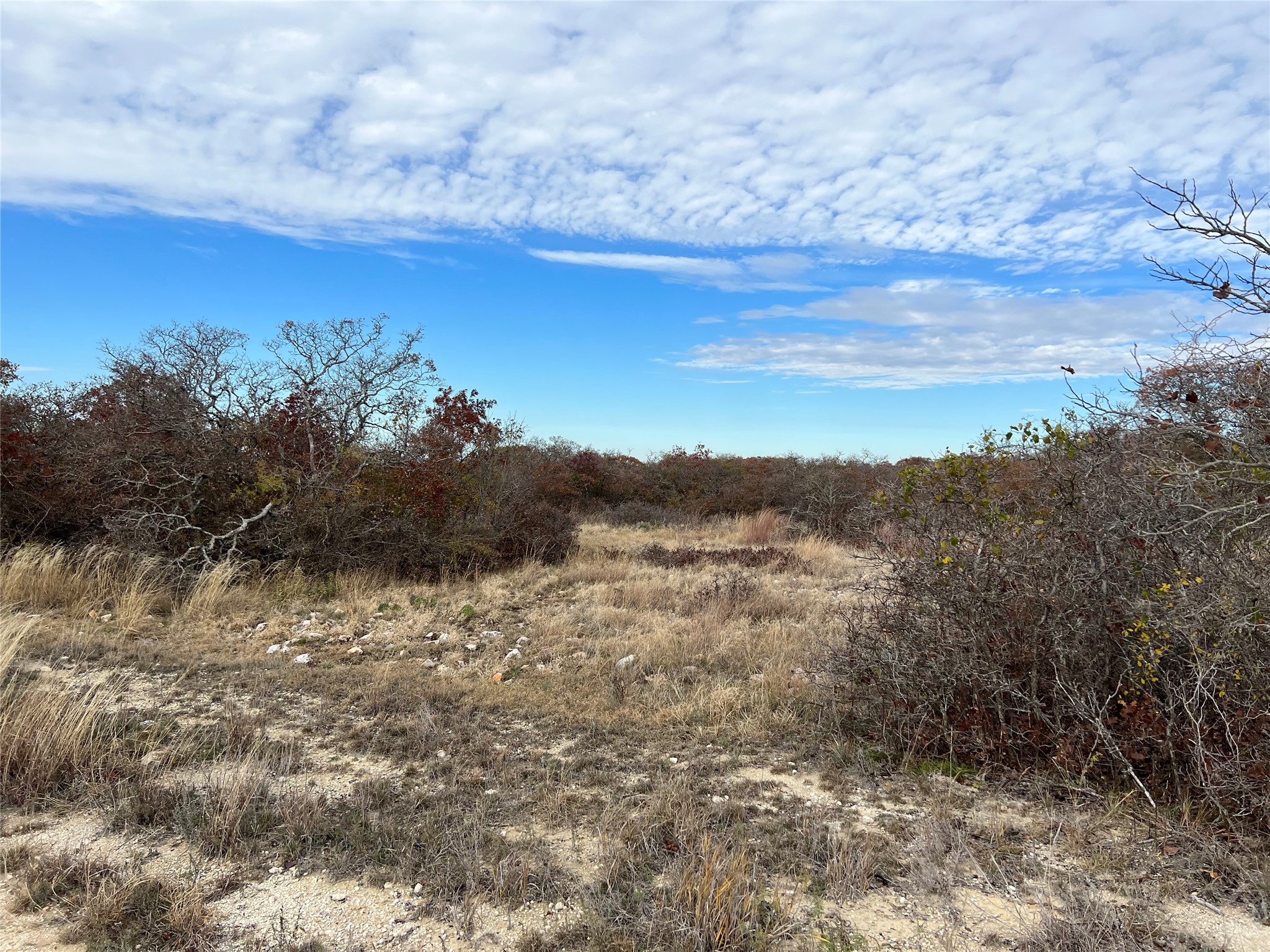 Lot 24 Pr 6332 Hamilton TX 76531