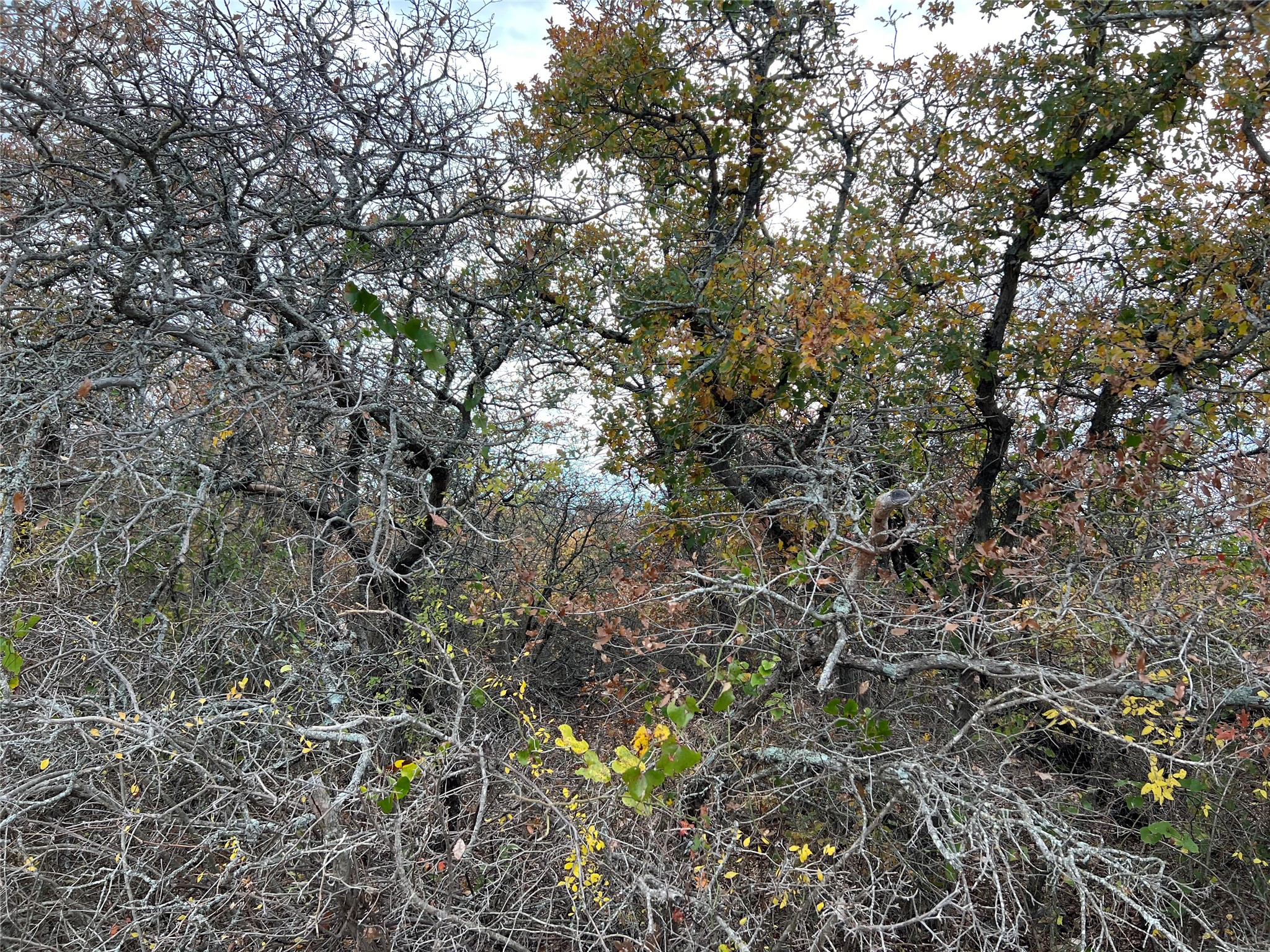 Lot 24 Pr 6332 Hamilton TX 76531
