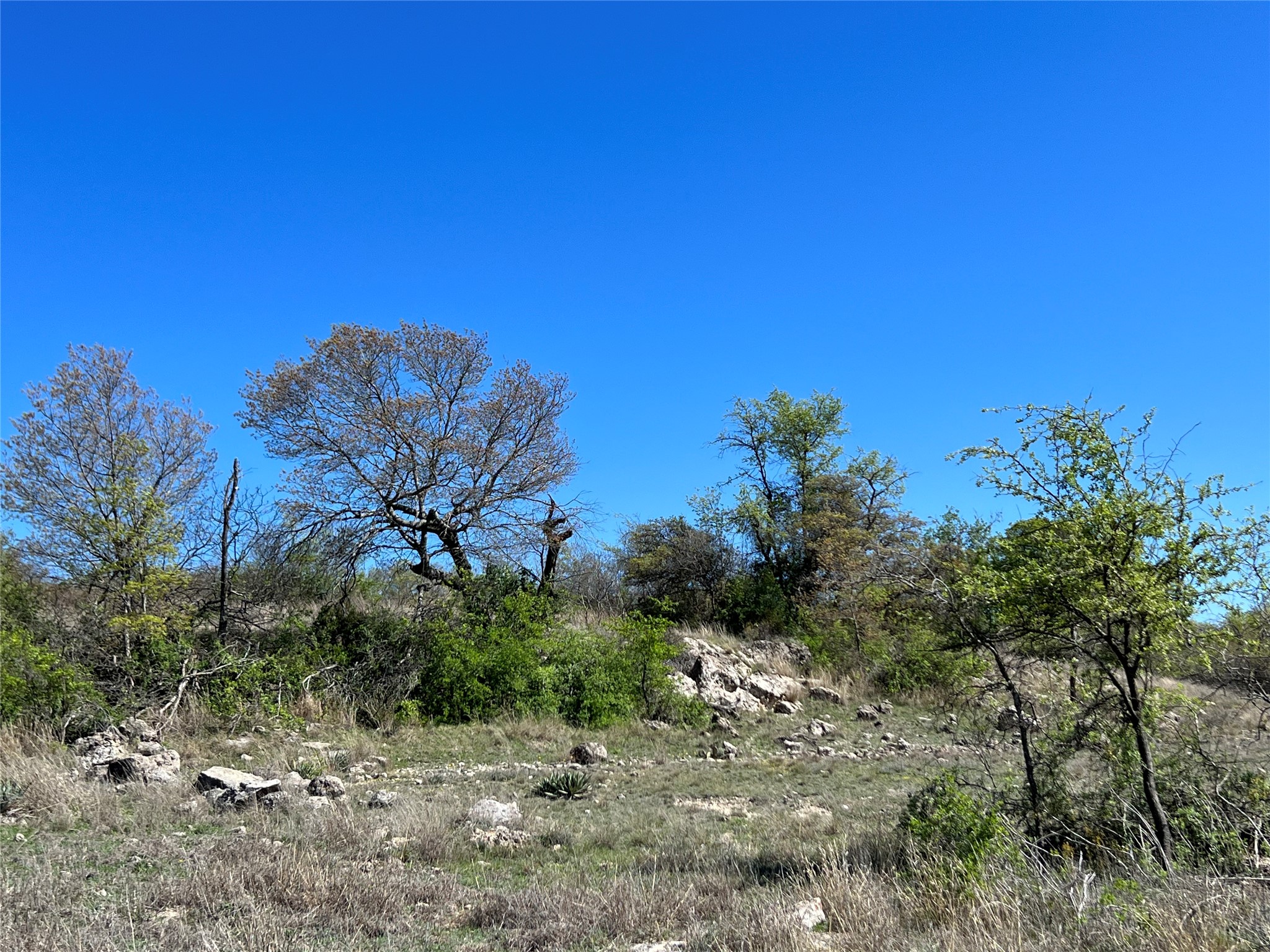Lot 24 Pr 6332 Hamilton TX 76531
