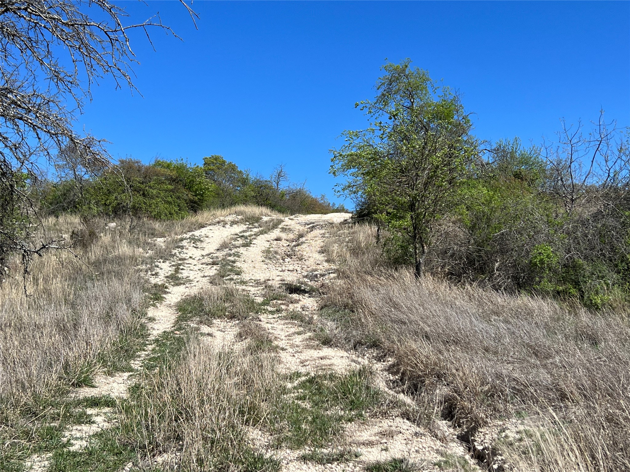 Lot 24 Pr 6332 Hamilton TX 76531