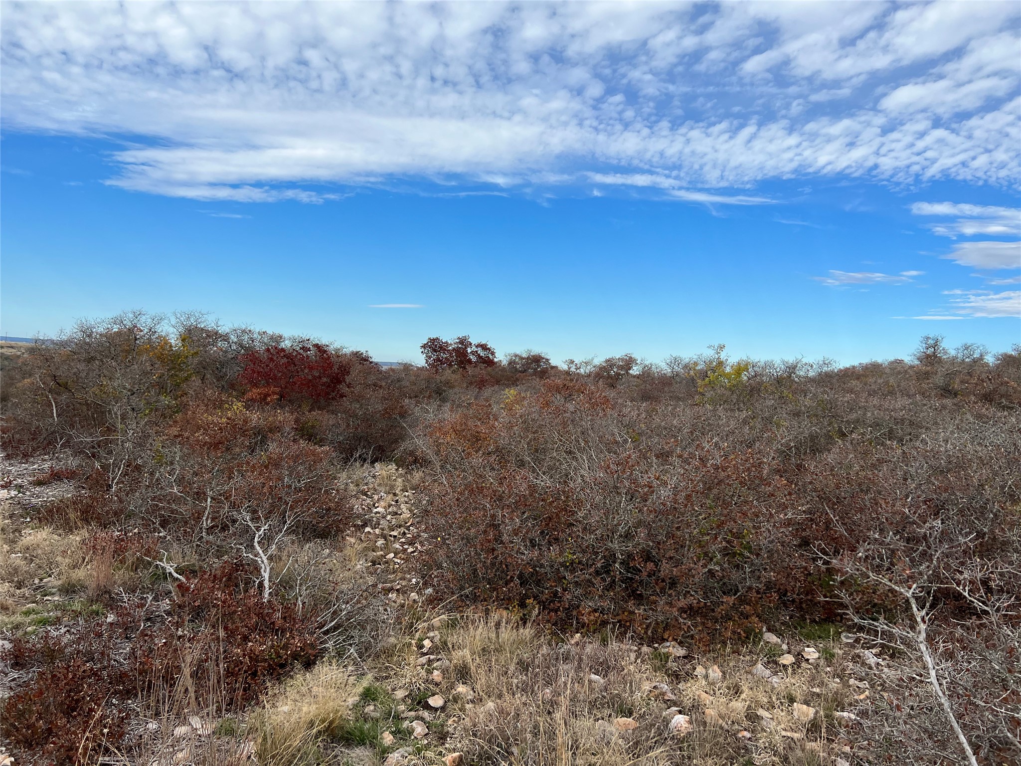 Lot 24 Pr 6332 Hamilton TX 76531