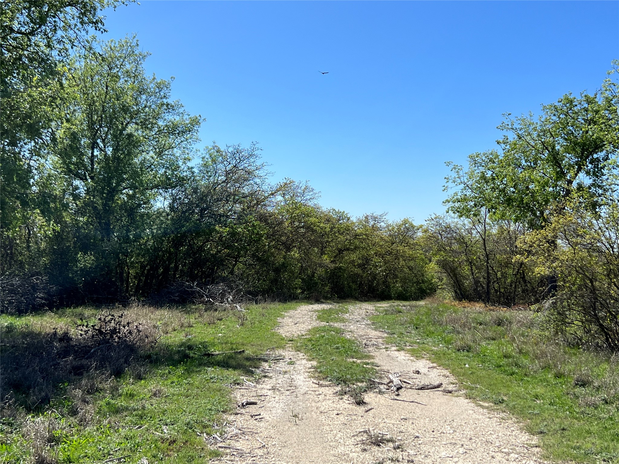 Lot 24 Pr 6332 Hamilton TX 76531