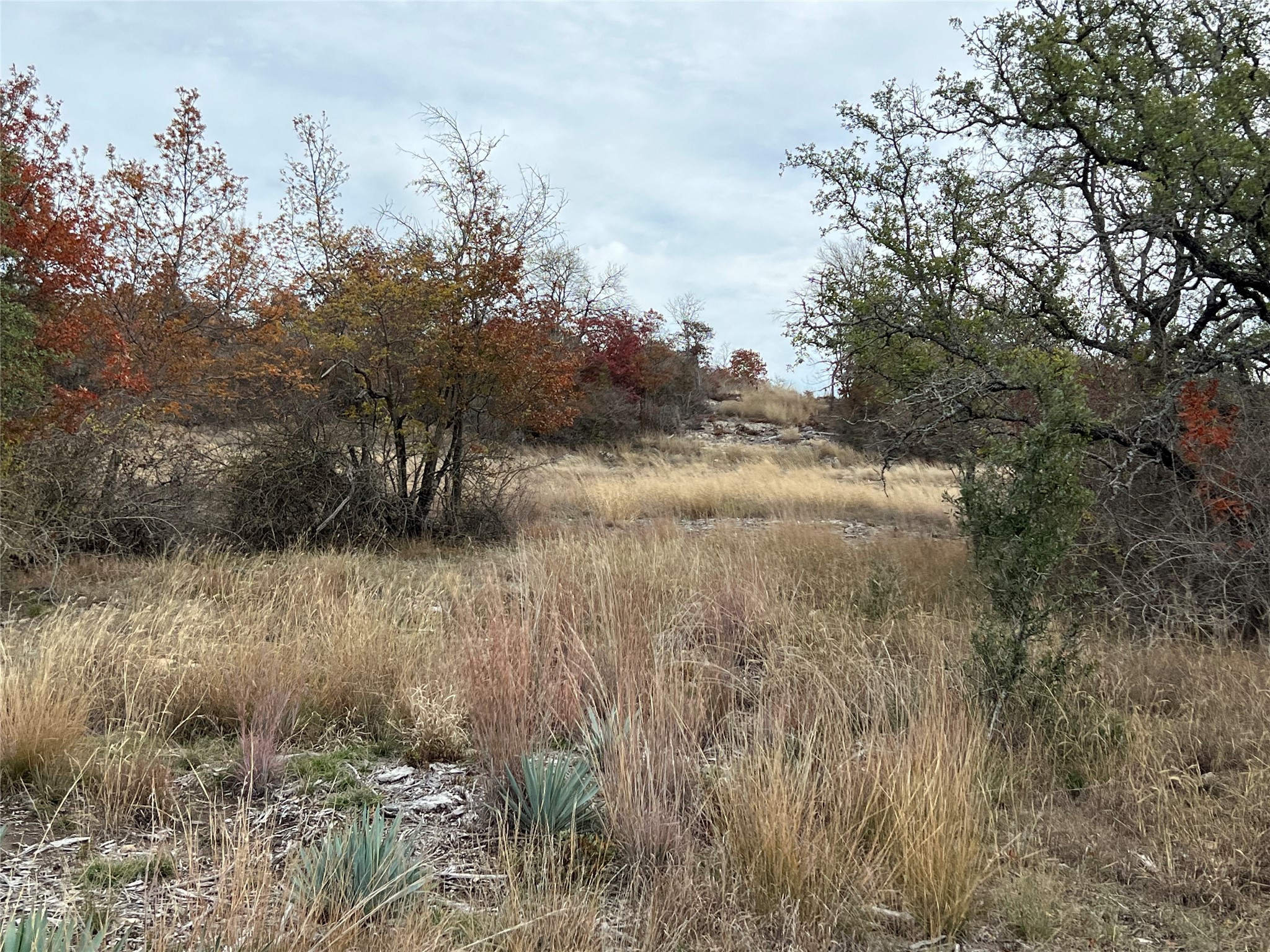 Lot 24 Pr 6332 Hamilton TX 76531