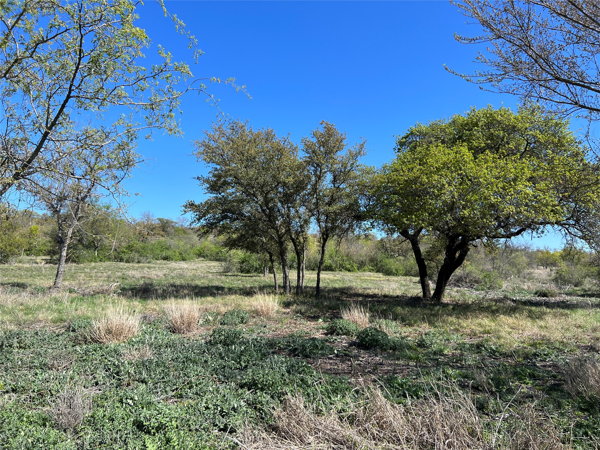 Lot 24 Pr 6332 Hamilton TX 76531