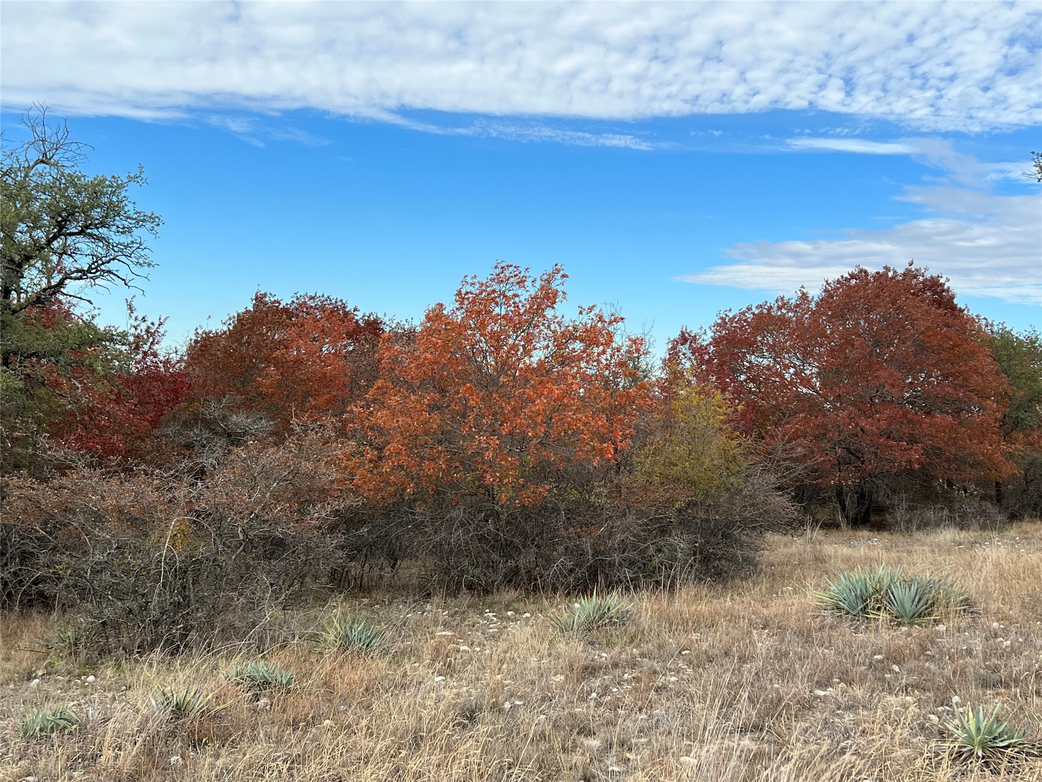 Lot 24 Pr 6332 Hamilton TX 76531