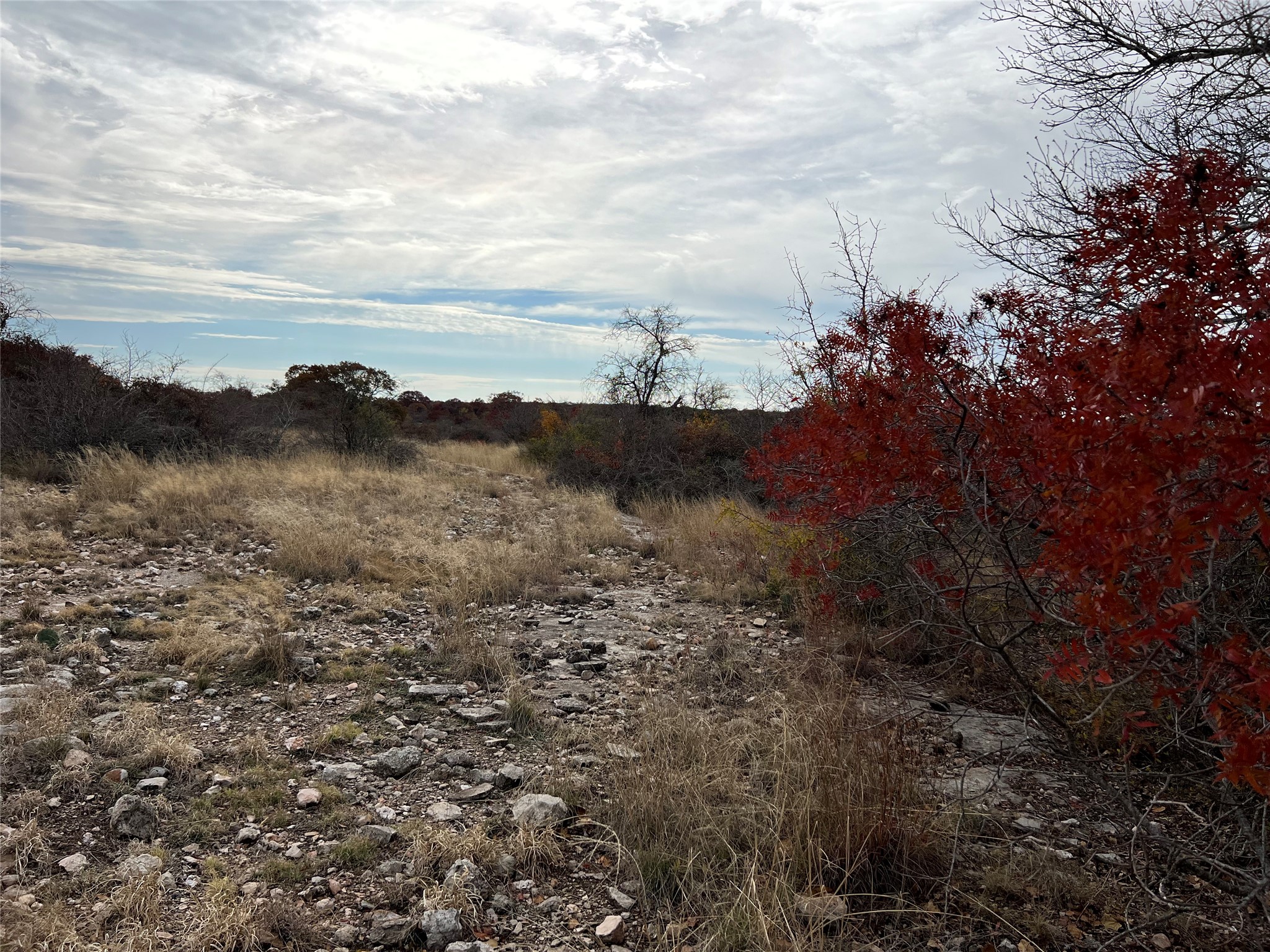 Lot 24 Pr 6332 Hamilton TX 76531