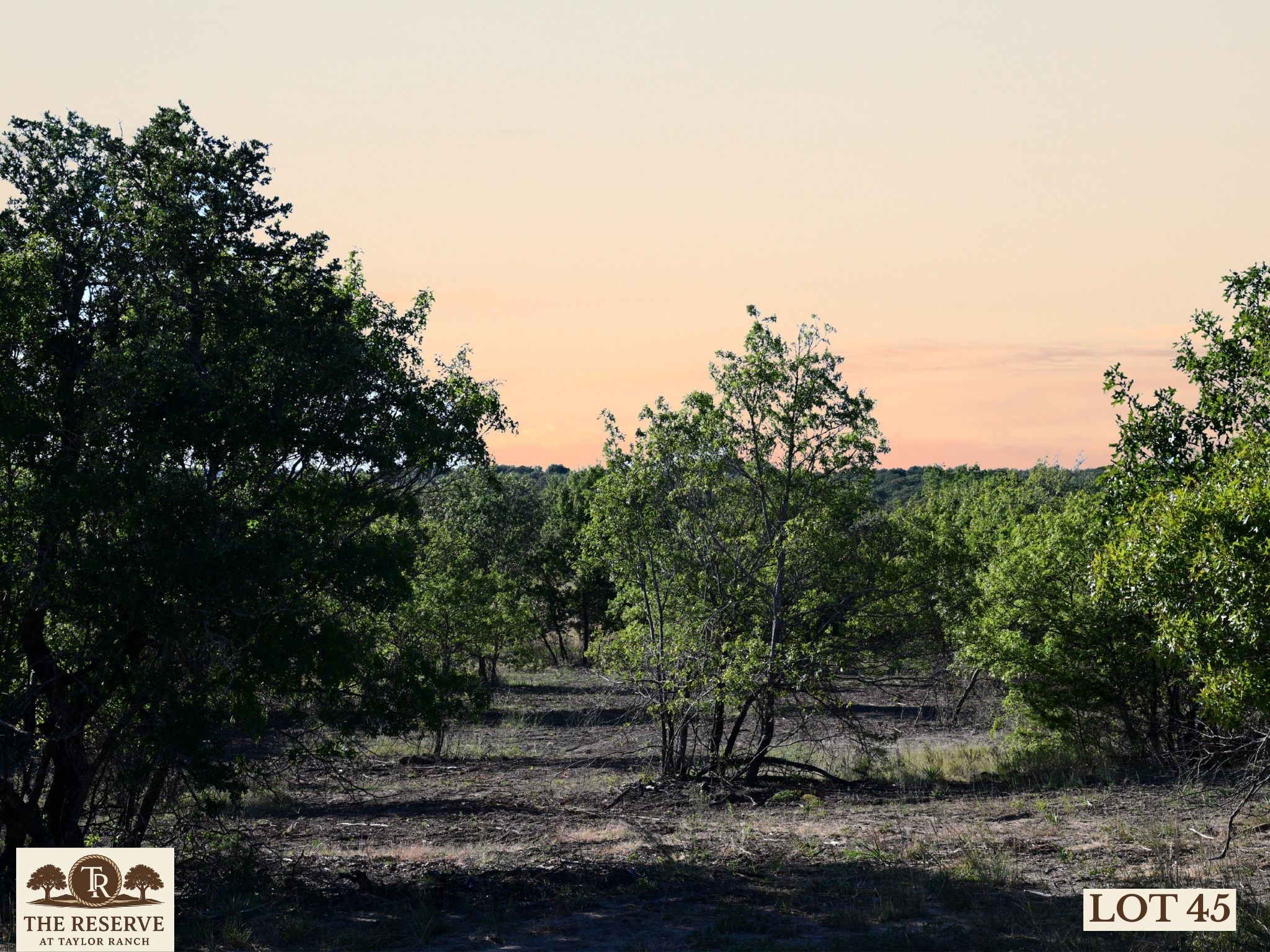 Lot 45 Colt Road Springtown TX 76082