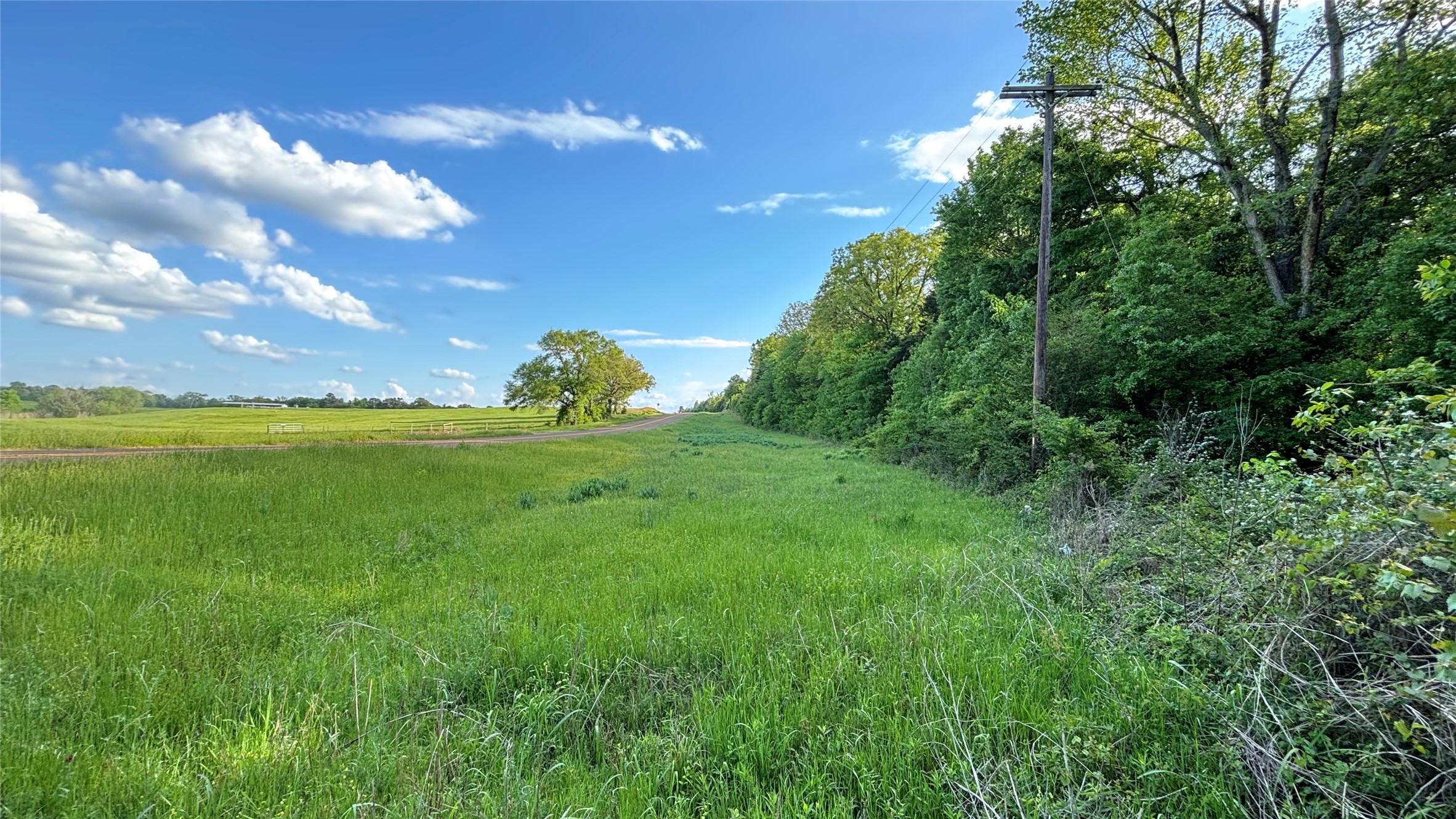 Tbd Fm 2966 Quitman TX 75783