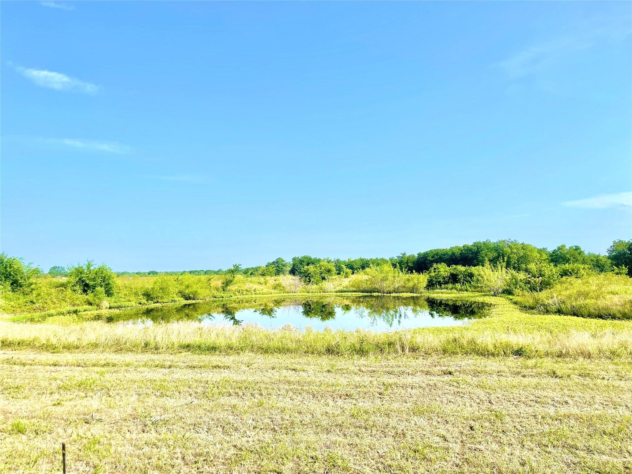 Tbd N Highway 171 Mexia TX 76667