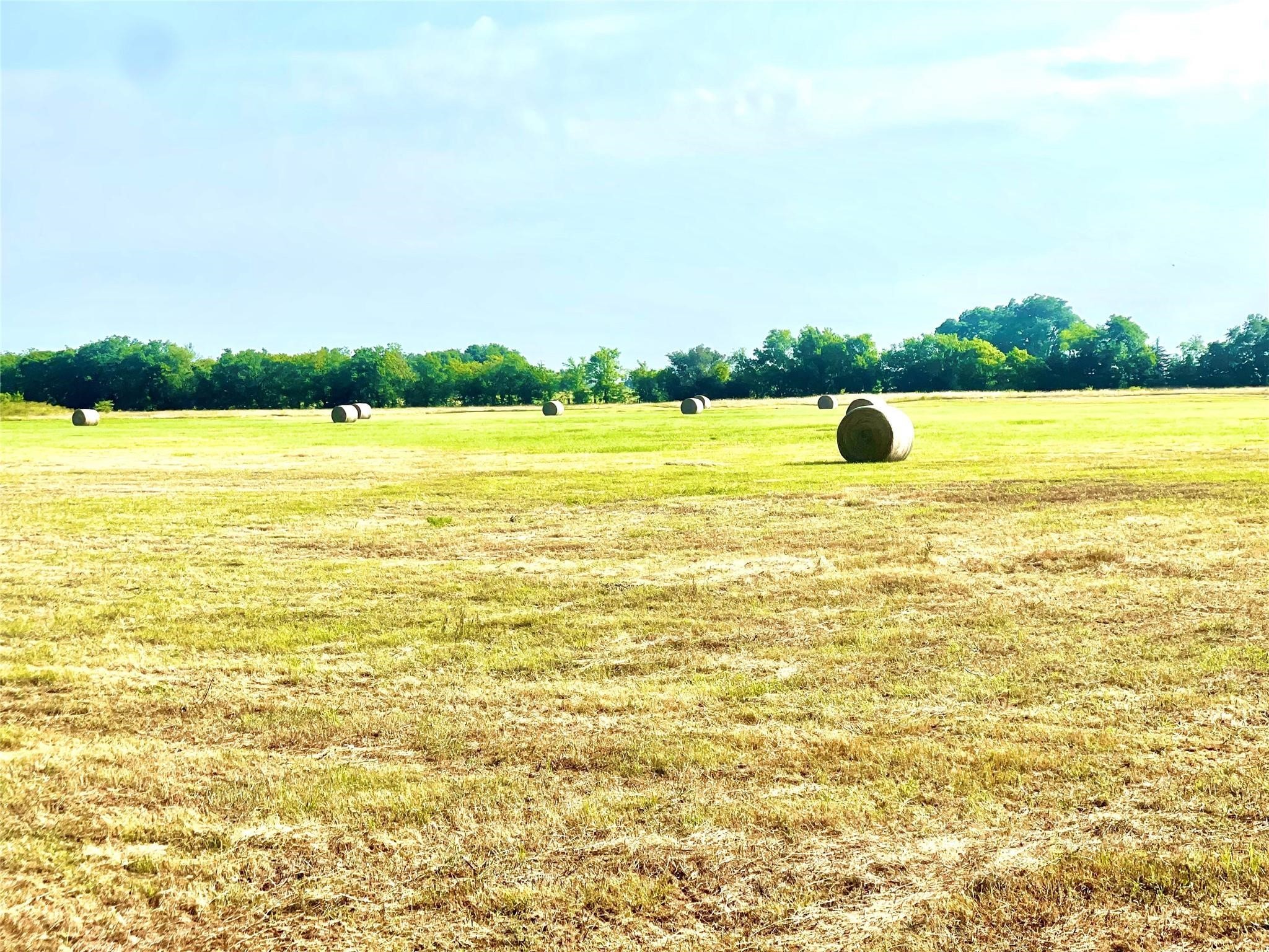 Tbd N Highway 171 Mexia TX 76667