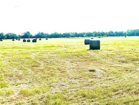 Tbd N Highway 171 Mexia TX 76667