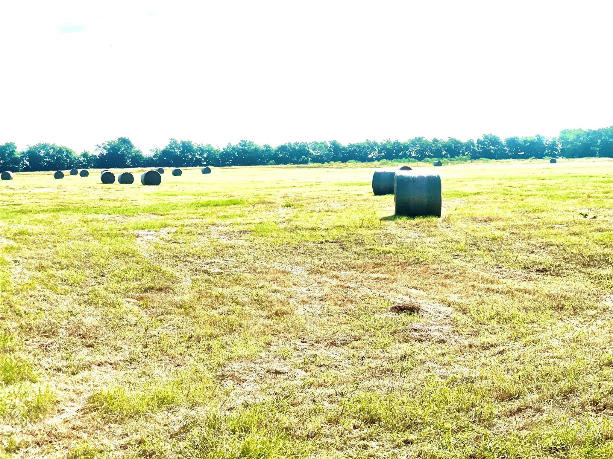 Tbd N Highway 171 Mexia TX 76667