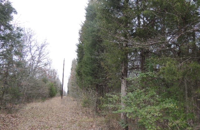 Tbd County Road 4455 Point TX 75472
