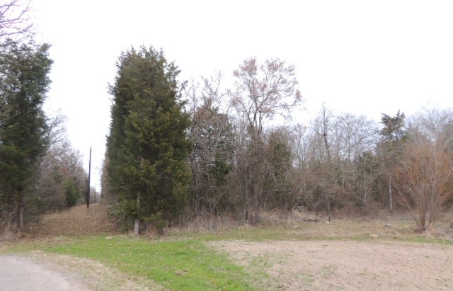 Tbd County Road 4455 Point TX 75472