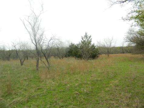 837 Fcr 995 Wortham TX 76693