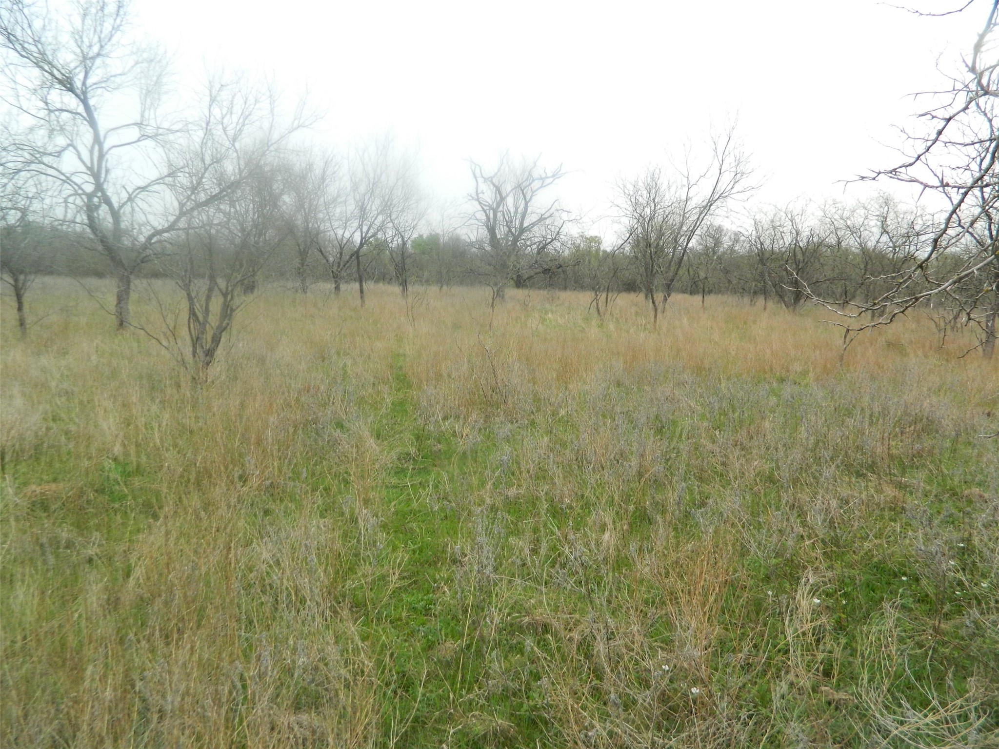 837 Fcr 995 Wortham TX 76693