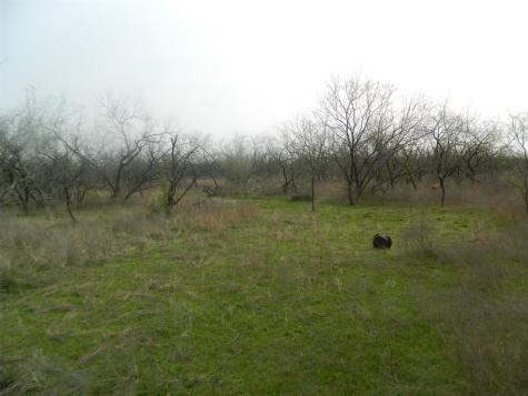 837 Fcr 995 Wortham TX 76693