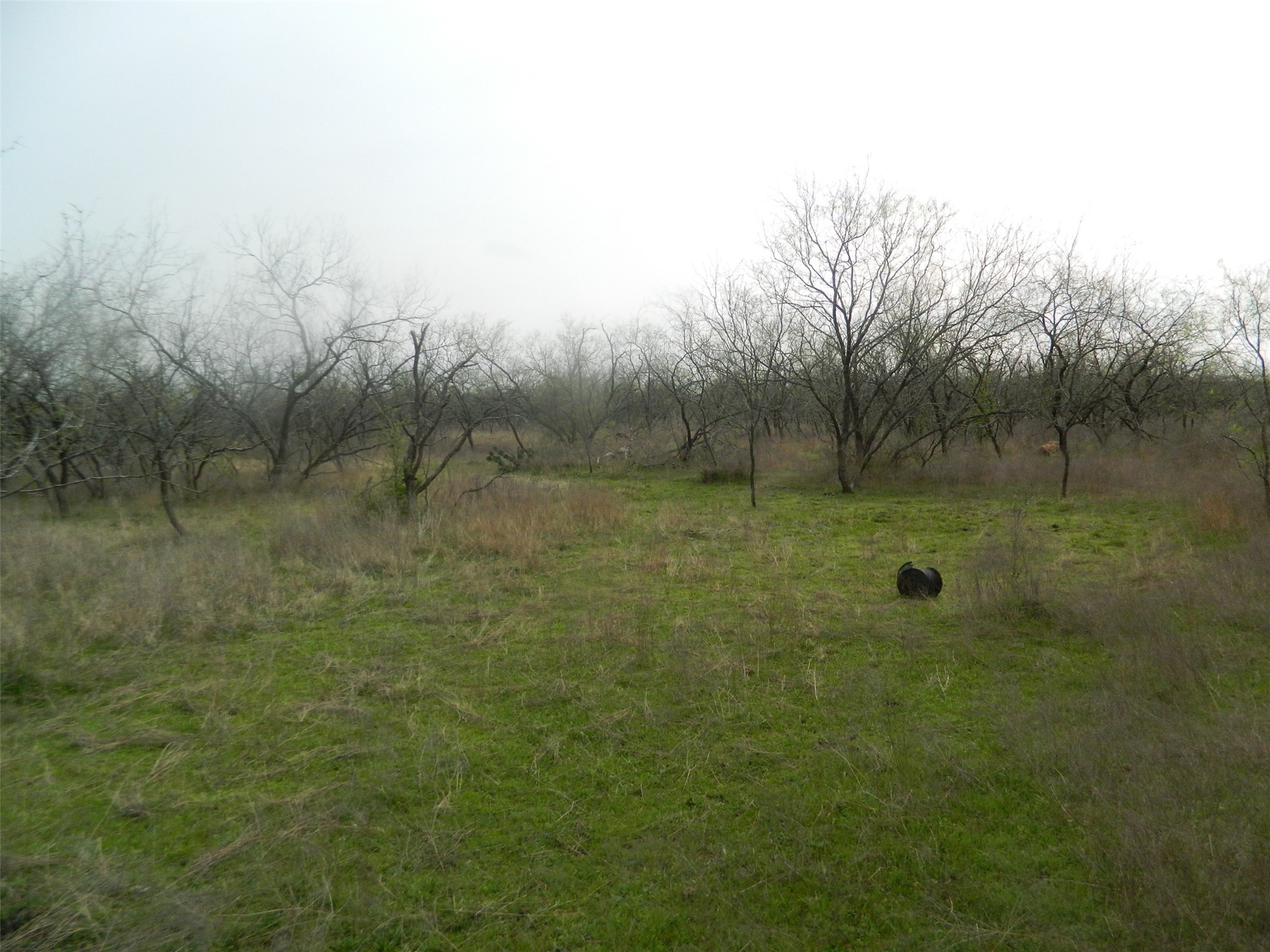 837 Fcr 995 Wortham TX 76693