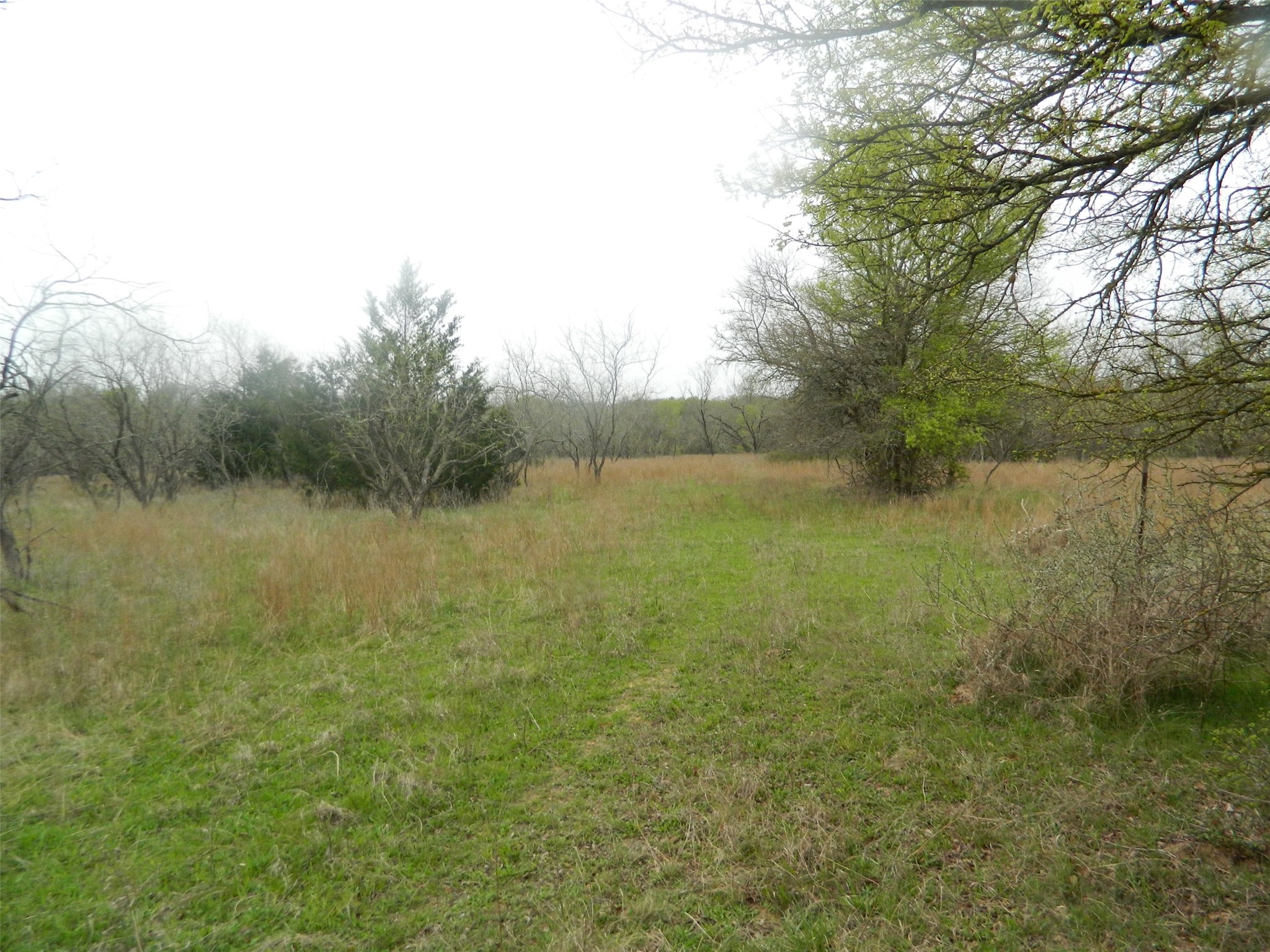 837 Fcr 995 Wortham TX 76693