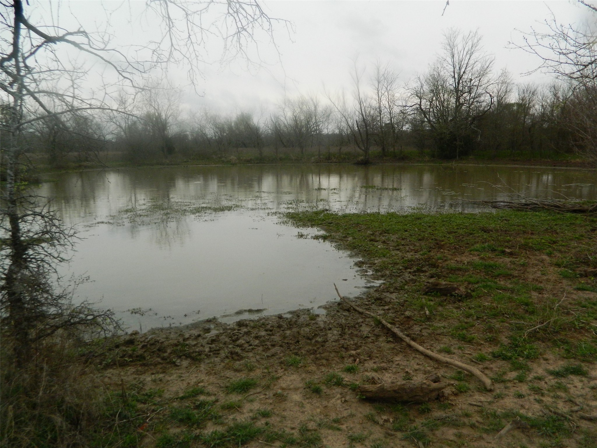 837 Fcr 995 Wortham TX 76693